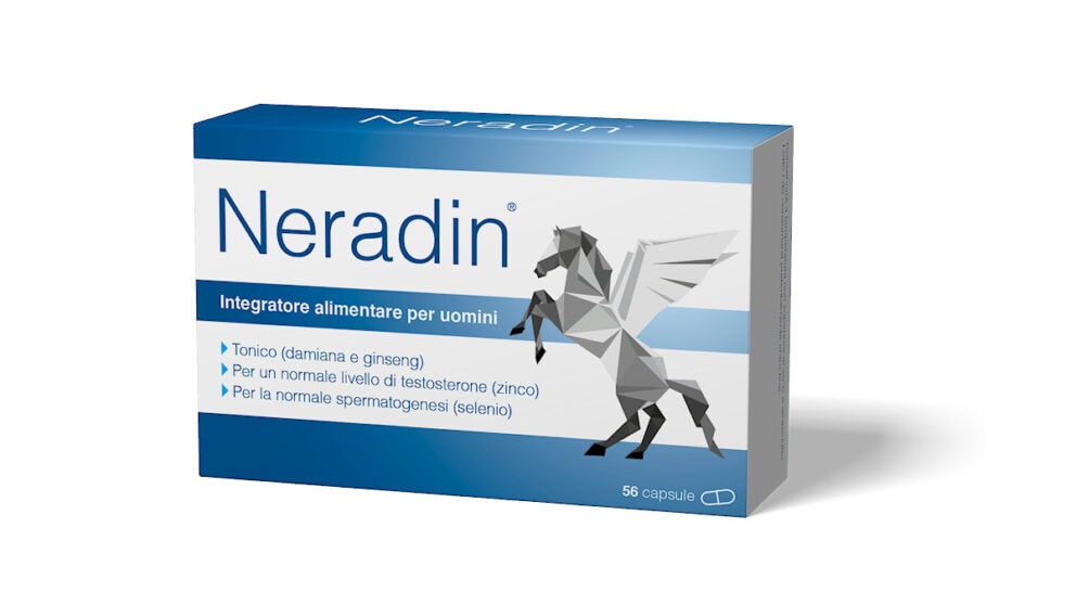 230531 neradin it advertoria v0012