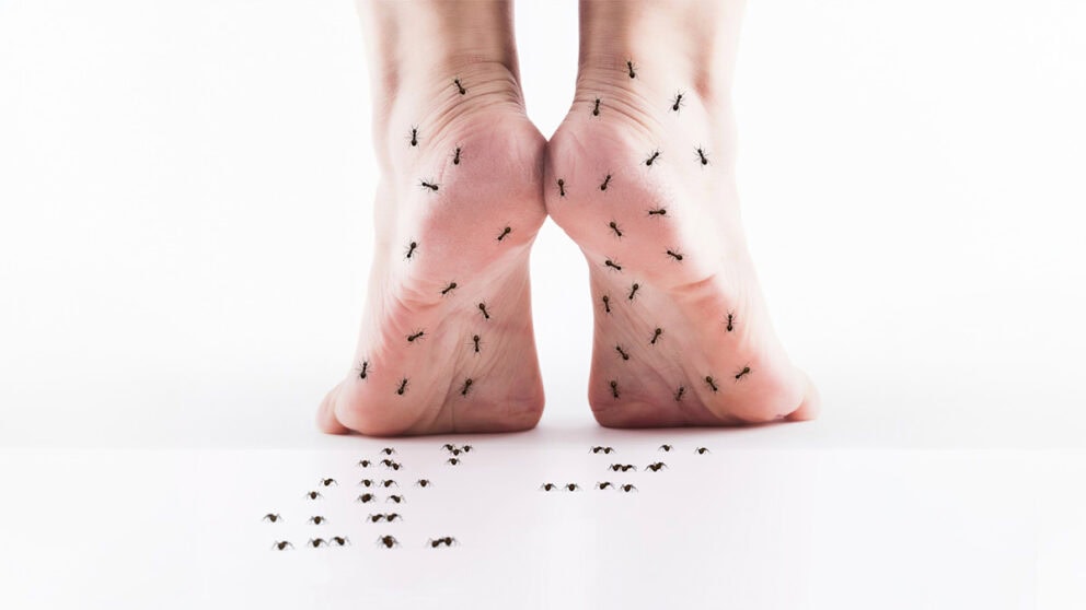 251007 rtg de adv bkt v001 fi2